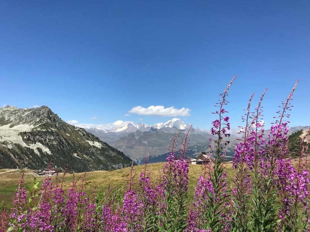 Apartment Le Grand Ours - In Out 4 Bed Chalet, Arc 1950 Les Arcs (Savoie)